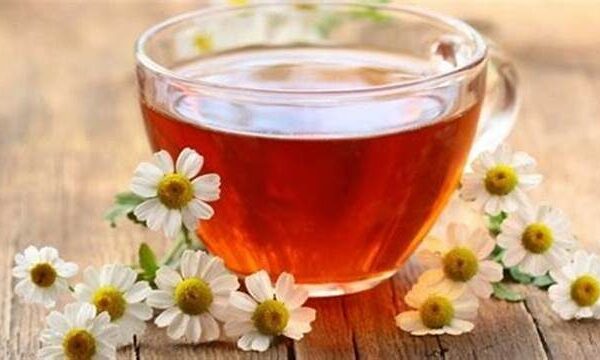 معرفی انواع مختلف چای ساز و فواید آن در فروشگاه اینترنتی ساور Savor | ظروف و تجهیزات کافه و رستوران